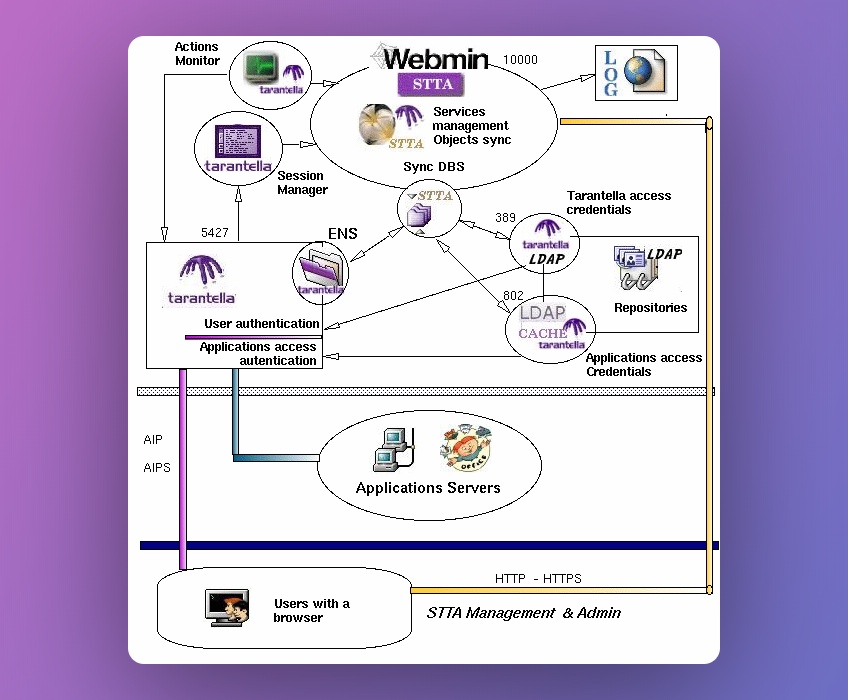 STTA architecture